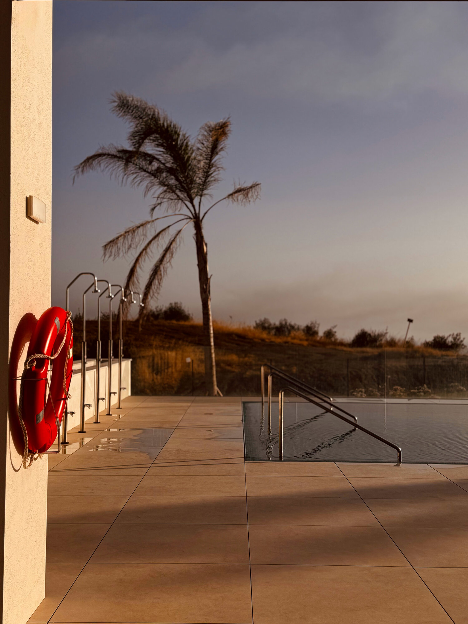 Lifebuoy and palm tree at dusk beside a pool