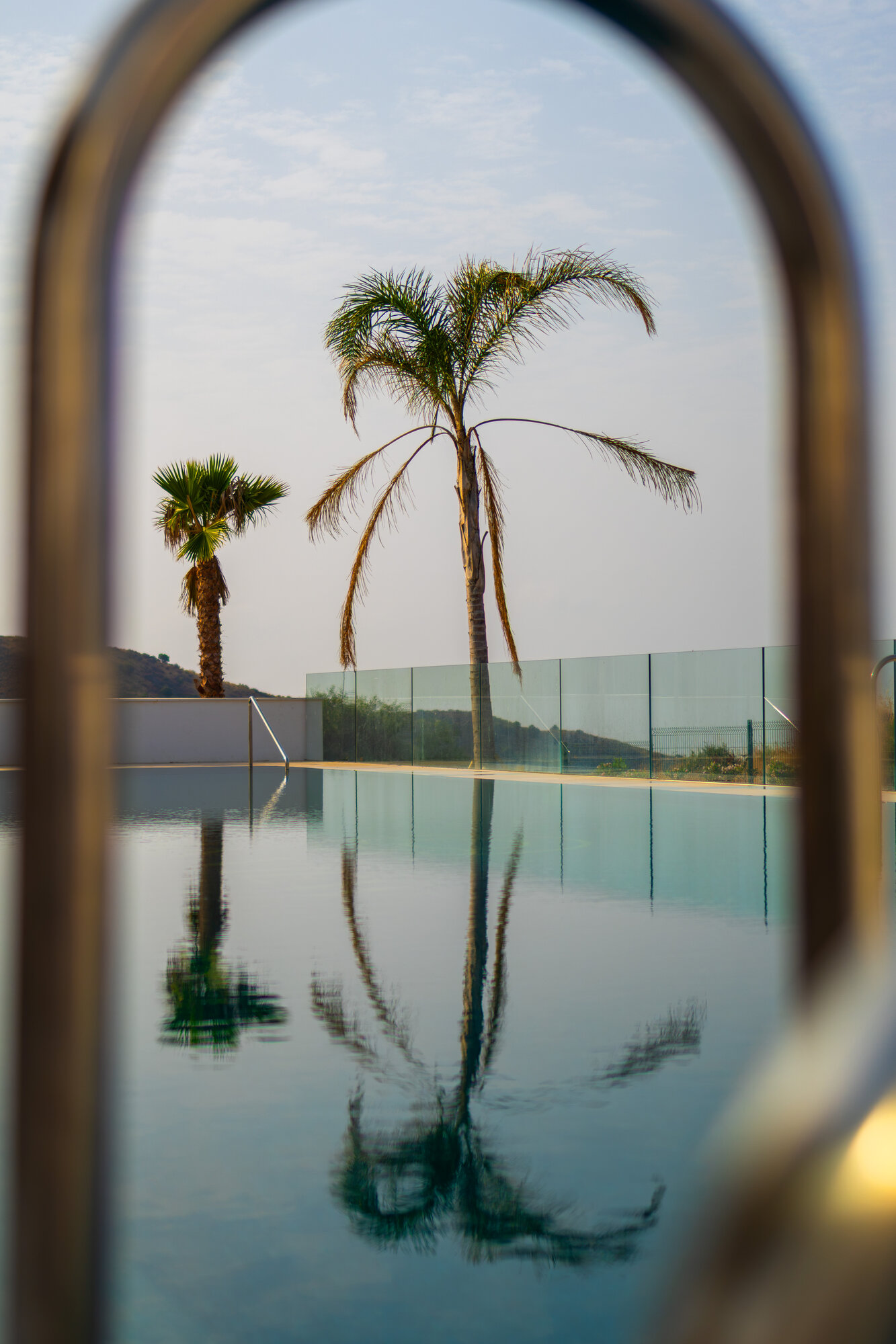 Palm and pool reflection framed through a pool handrail
