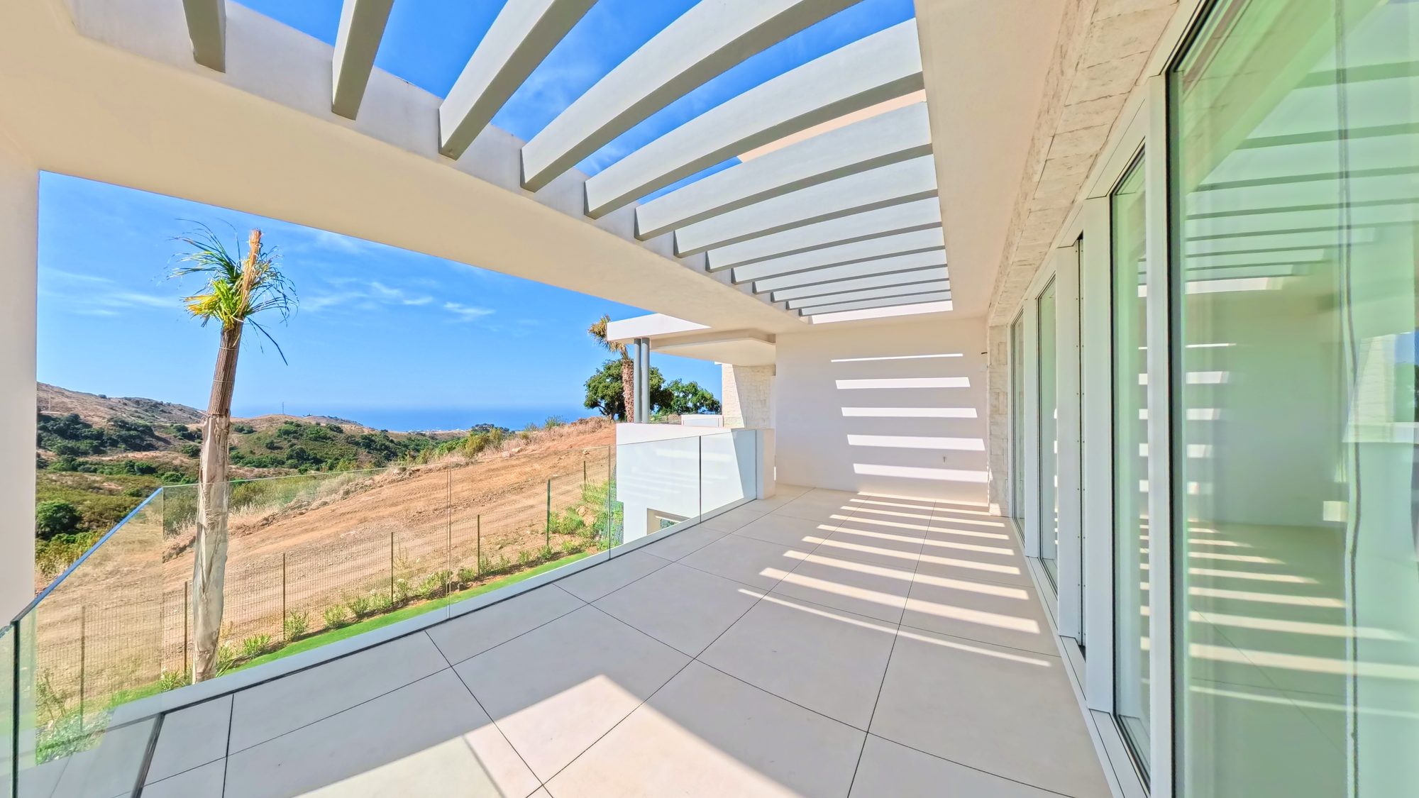 Covered terrace with glass balustrade and palm